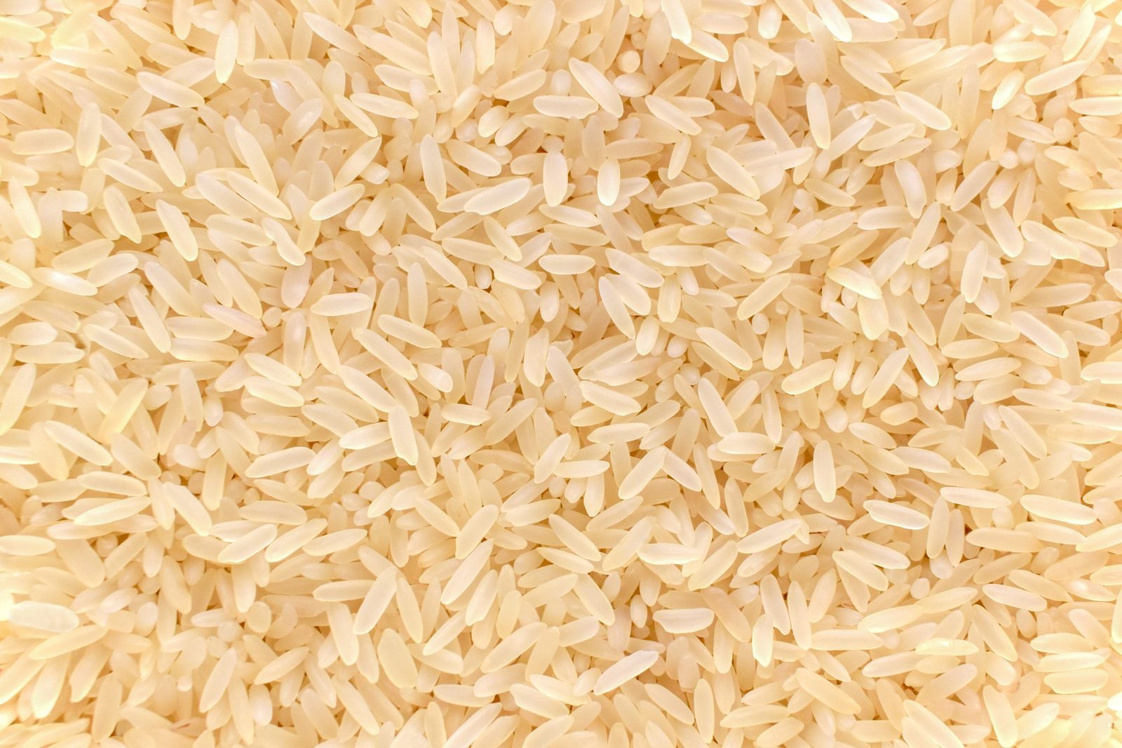 O Que é Arroz Parboilizado: Descubra! São João Alimentos